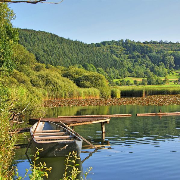 Naturlandschaft der Eifel Ruhiger See mit einem kleinen Boot und grünen Ufern im Hintergrund.